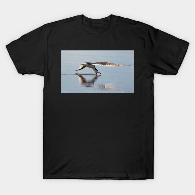 Feeding Skimmer T-Shirt by joesaladino